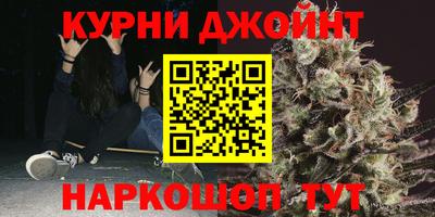 МДПВ Моздок