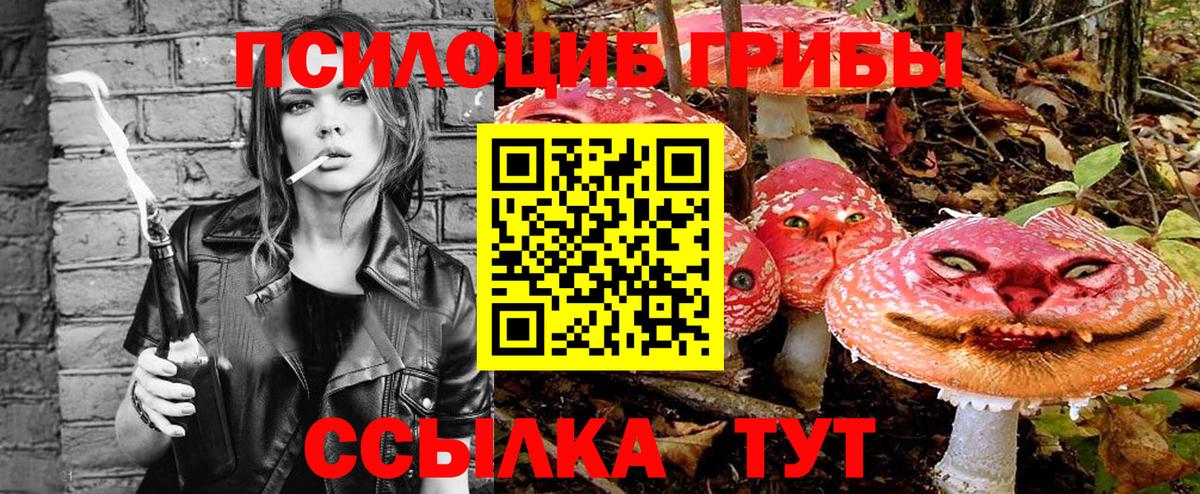 Псилоцибиновые грибы MAGIC MUSHROOMS Тверь